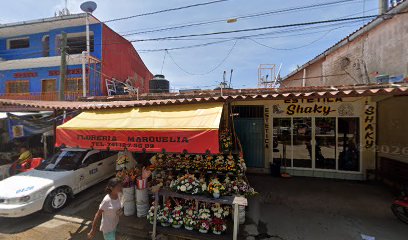 Negocio Estética Shaky