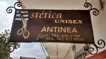 Estética Unisex Antinea