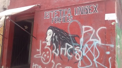 Negocio Estetica Unisex Perfiles