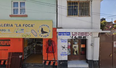 Negocio Estetica Unisex 