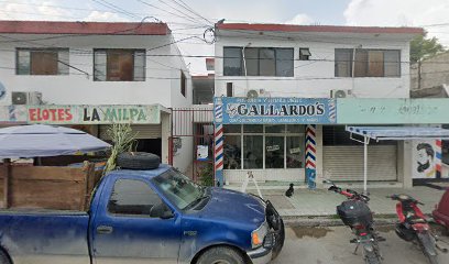 Peluqueria Y Estetica Unisex Gallardo's