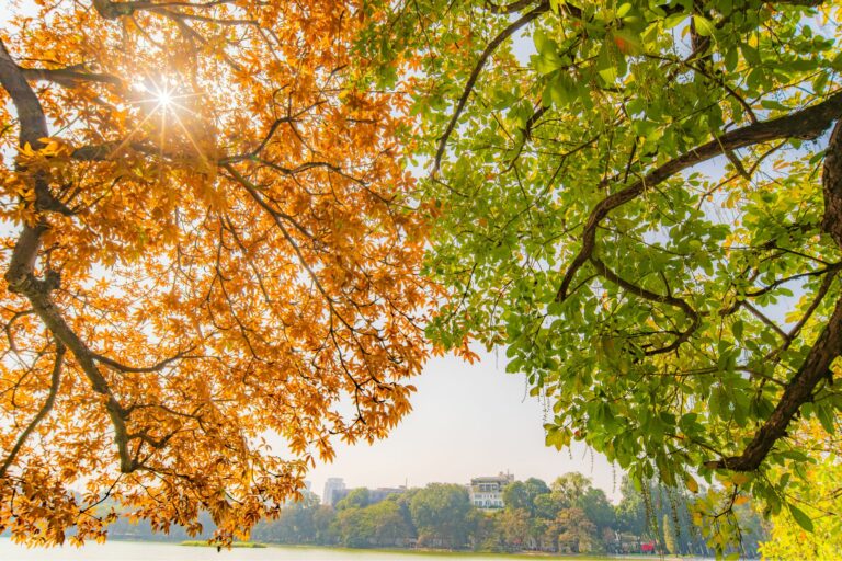Ajustando tu rutina de skincare según el cambio de estación: Primavera y Otoño